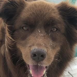 Meet your Posher, Staci